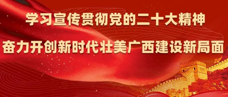 贺州市侨联组织侨商会员学习宣传贯彻落实党的二十大精神